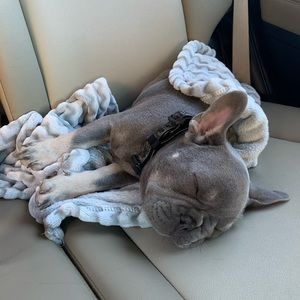 Meet your Posher, Alex